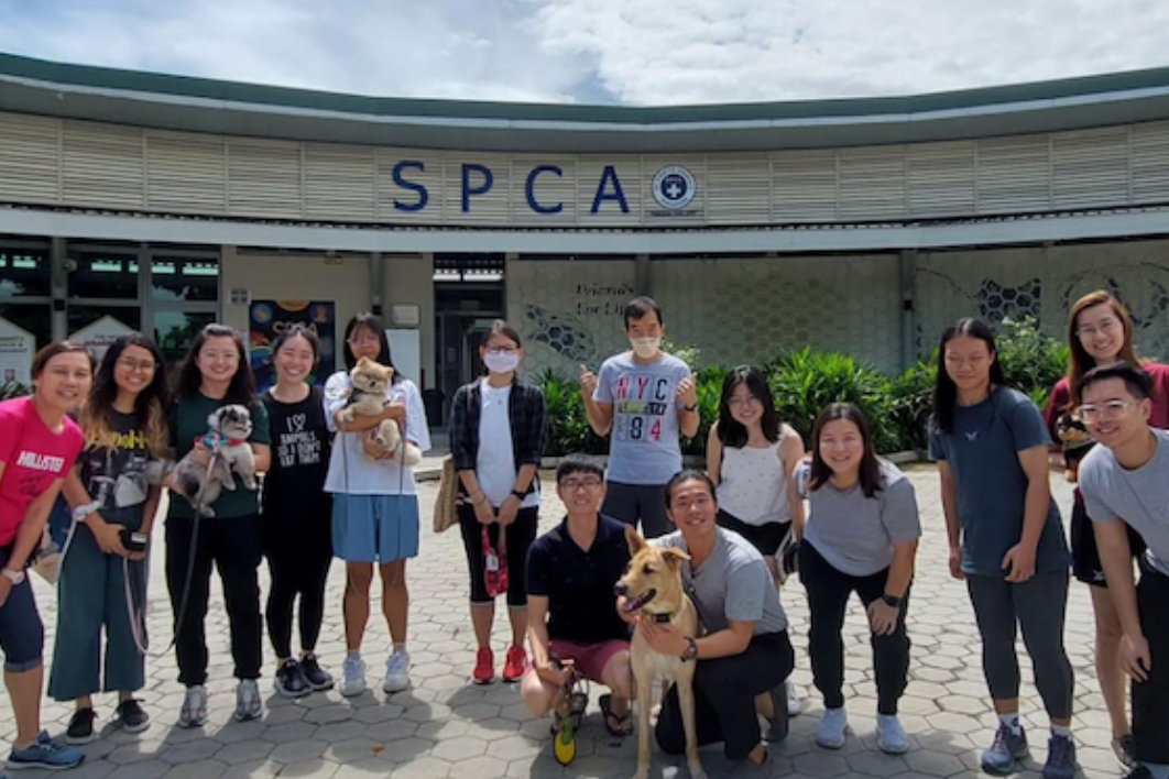 spca tour and corporations or offices