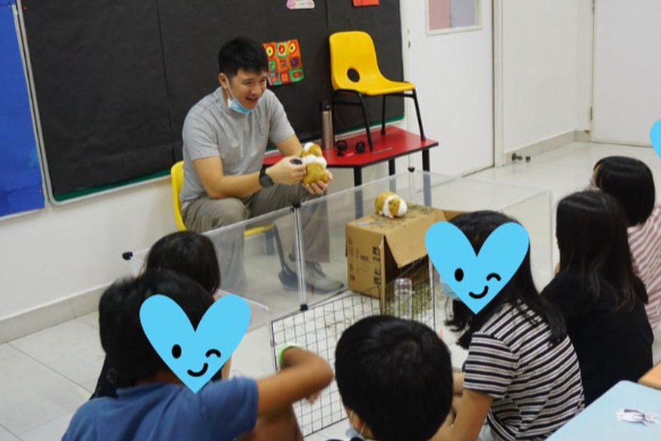 teaching children about pets